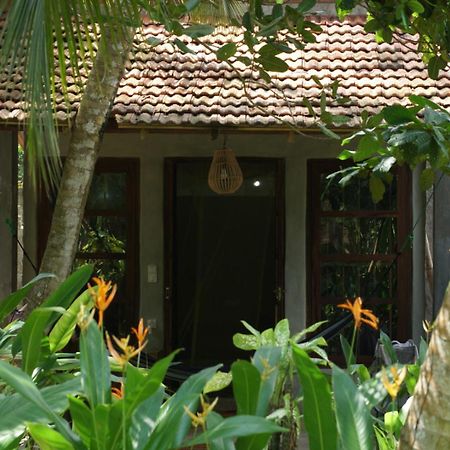 Dreamtime Hotel Hikkaduwa Eksteriør billede